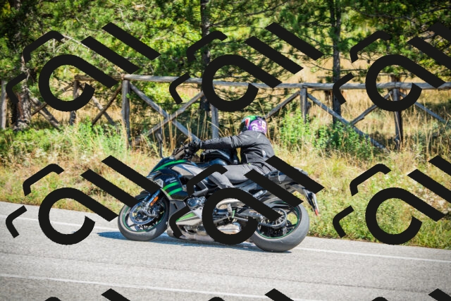 202509271226-DSC00778_c1_