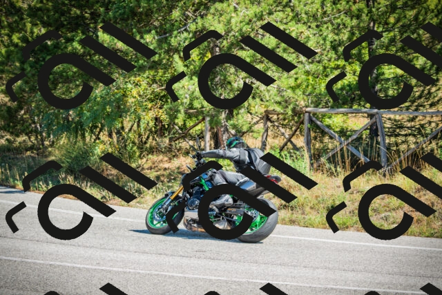 202509271226-DSC00784_c1_