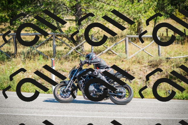 202509271226-DSC00788_c1_