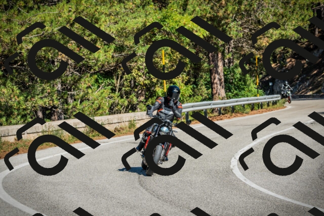 202509271236-DSC00855_c1_