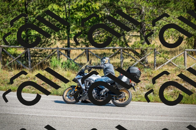 202509271239-DSC00885_c1_