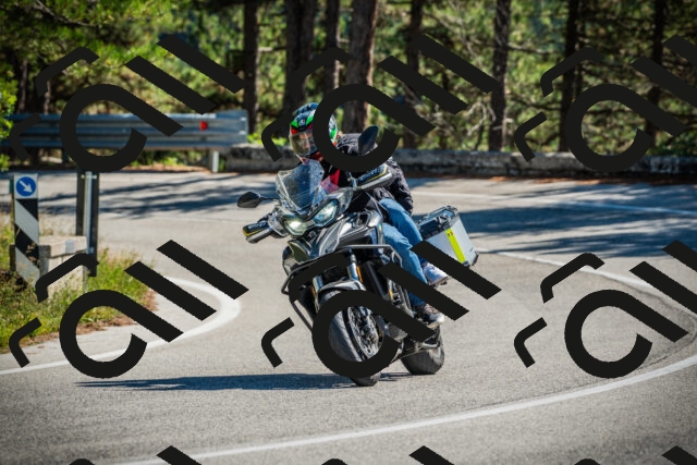 202509271239-DSC00889_c1_