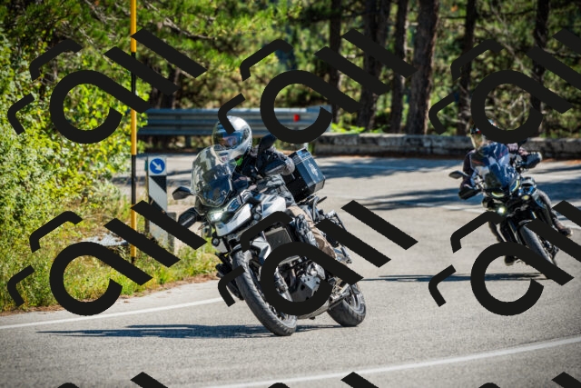 202509271249-DSC00908_c1_