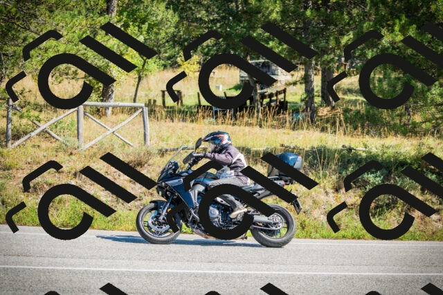 202509271249-DSC00910_c1_