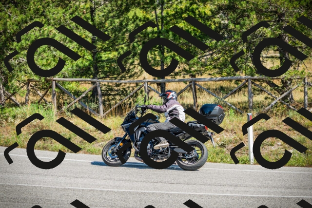 202509271249-DSC00911_c1_