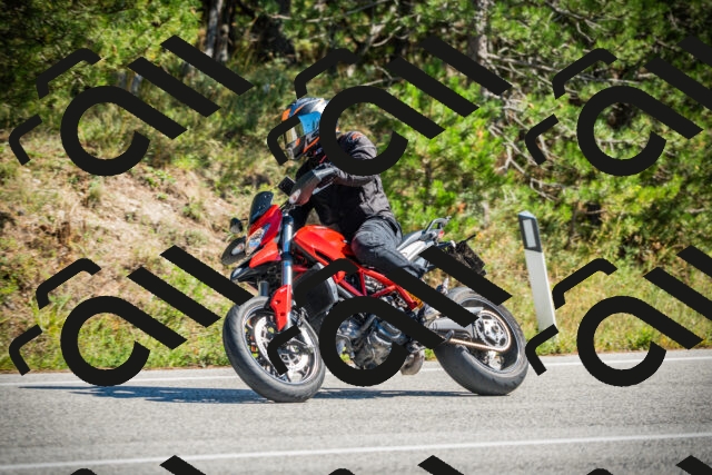 202509271250-DSC00918_c1_