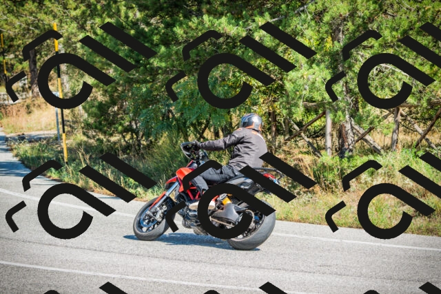 202509271250-DSC00920_c1_