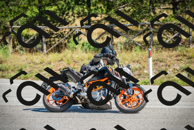 202509271251-DSC00923_c1_