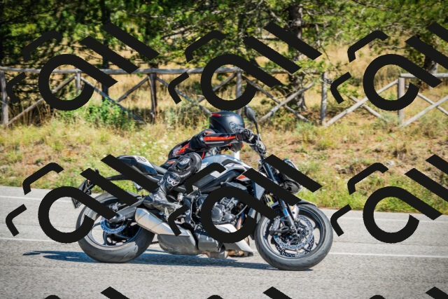 202509271251-DSC00928_c1_