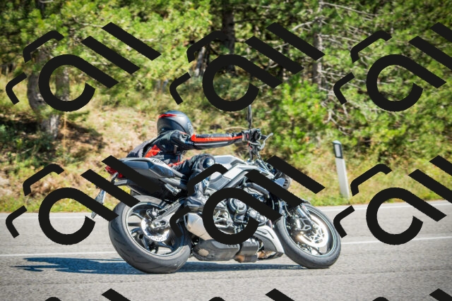 202509271251-DSC00929_c1_