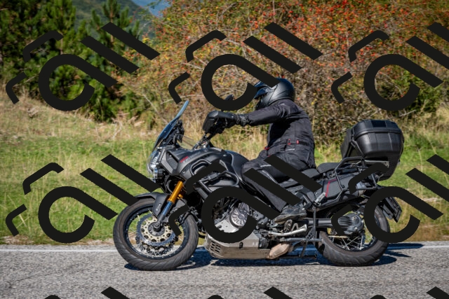 202509271205-DSC_6676_c2