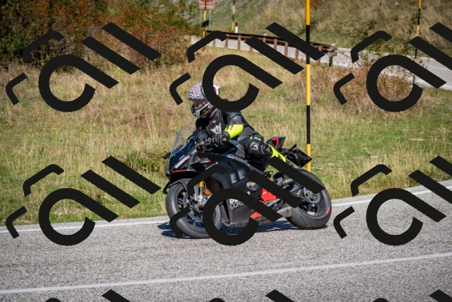 202509271206-DSC_6680_c2