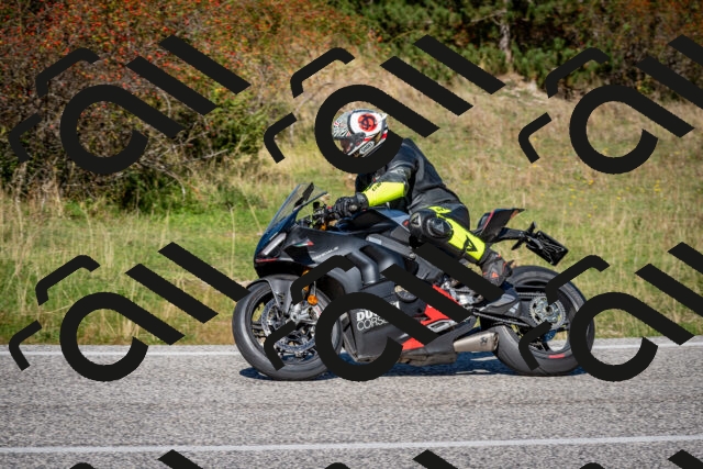 202509271206-DSC_6681_c2