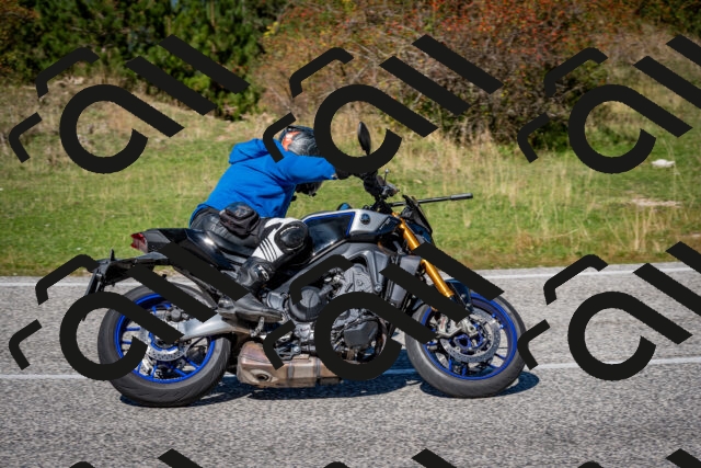 202509271219-DSC_6752_c2