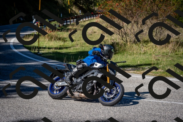 202509271221-DSC_6755_c2