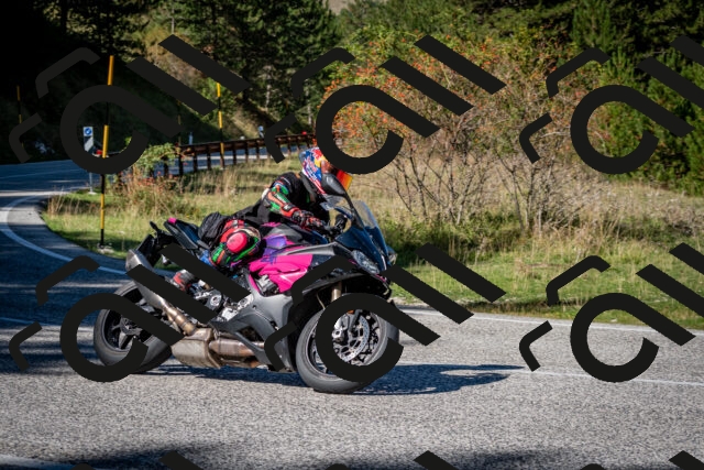 202509271231-DSC_6782_c2