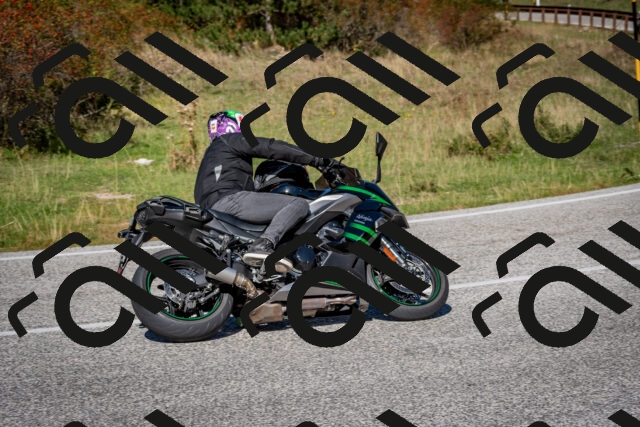 202509271231-DSC_6786_c2