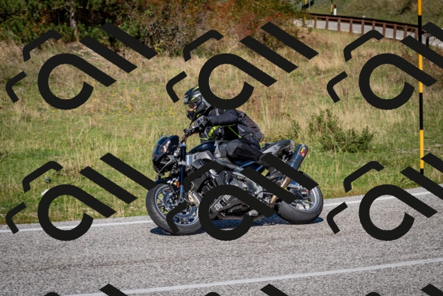 202509271231-DSC_6789_c2