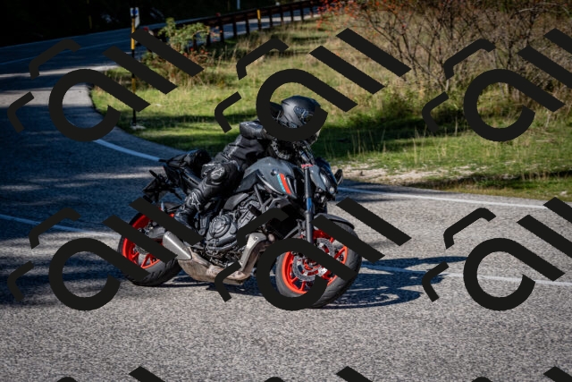 202509271233-DSC_6818_c2