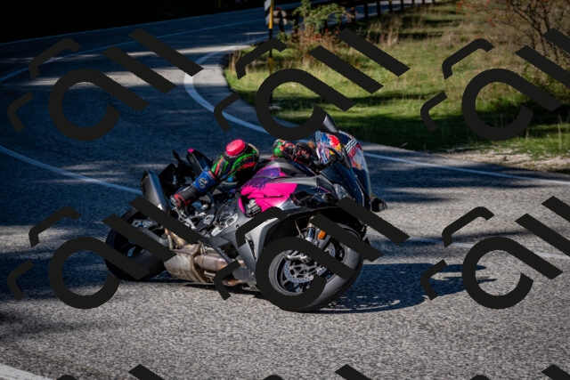 202509271234-DSC_6826_c2