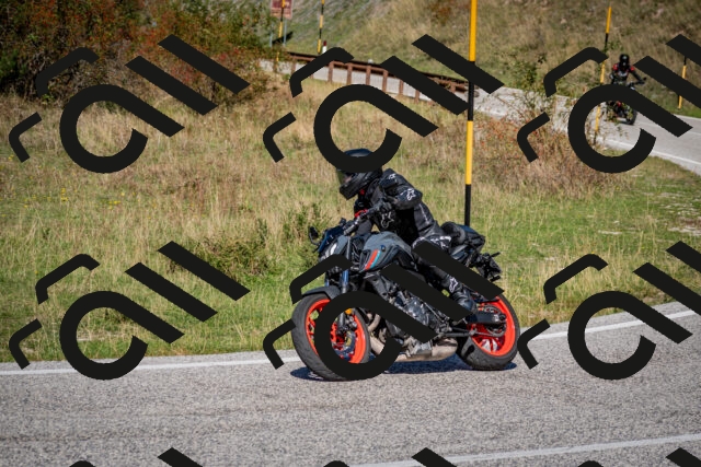 202509271235-DSC_6832_c2