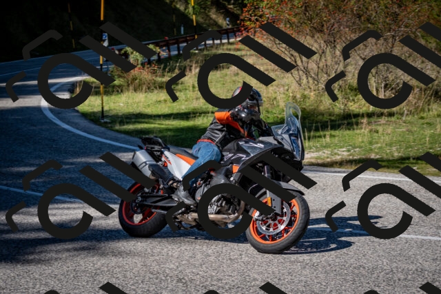 202509271237-DSC_6838_c2