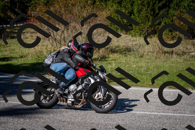 202509271240-DSC_6855_c2