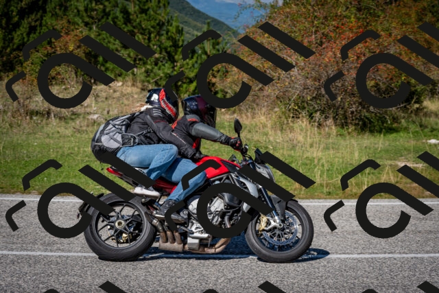 202509271240-DSC_6856_c2