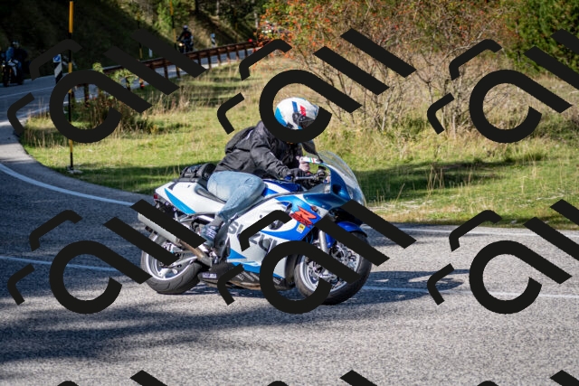 202509271245-DSC_6884_c2