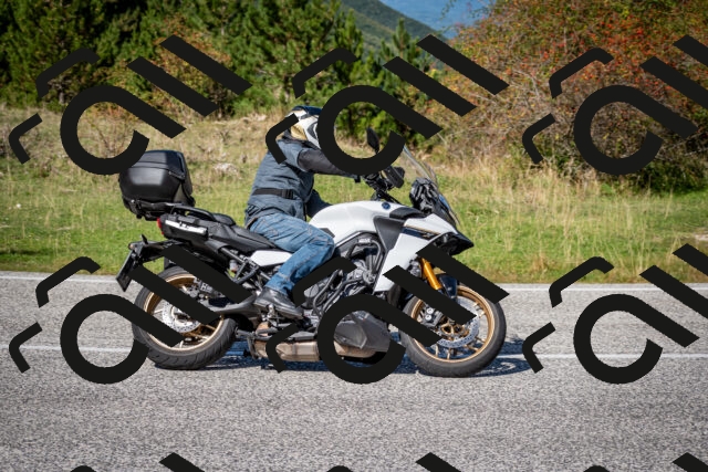 202509271245-DSC_6891_c2