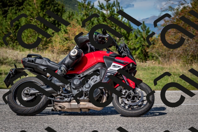 202509271248-DSC_6911_c2