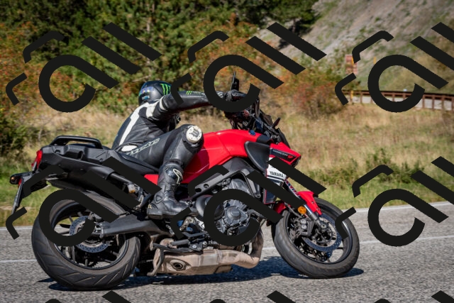 202509271248-DSC_6912_c2