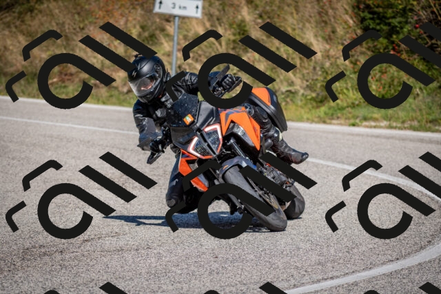 202509271248-DSC_6916_c2