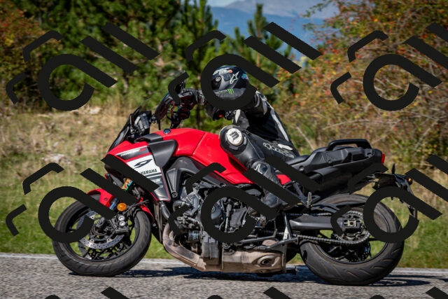 202509271248-DSC_6922_c2