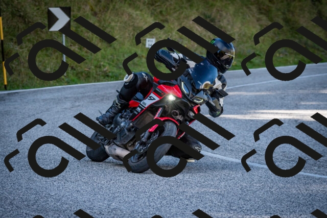 202509271250-DSC_6923_c2