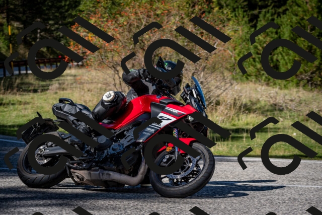 202509271250-DSC_6925_c2