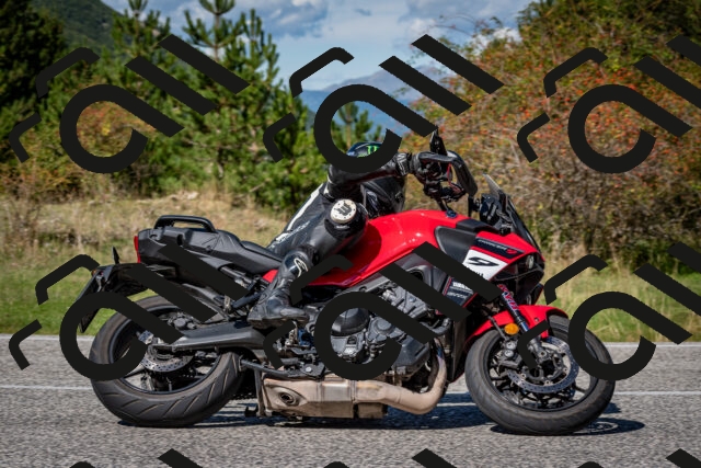 202509271250-DSC_6926_c2