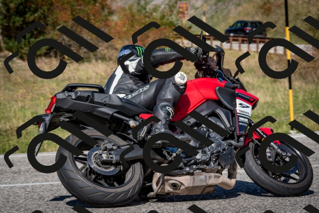 202509271250-DSC_6927_c2