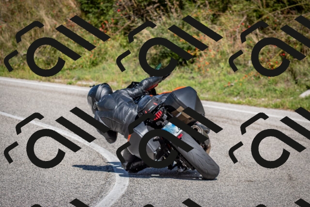 202509271252-DSC_6952_c2