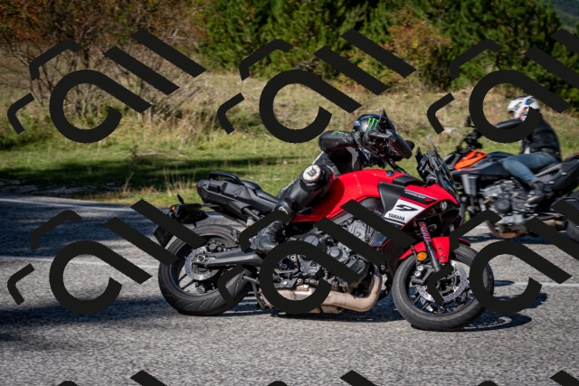 202509271253-DSC_6971_c2