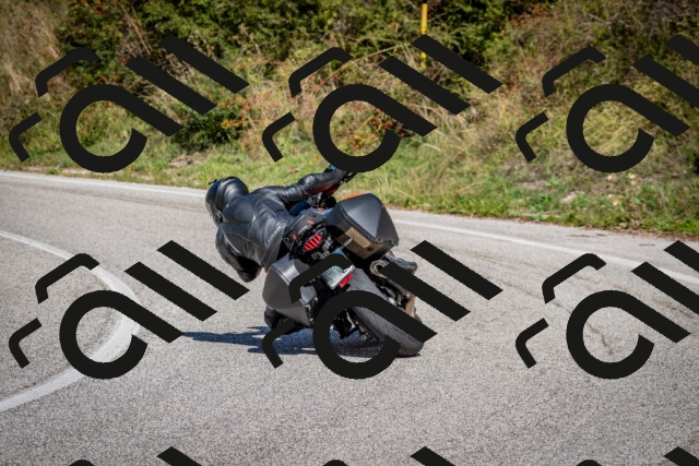 202509271254-DSC_6975_c2