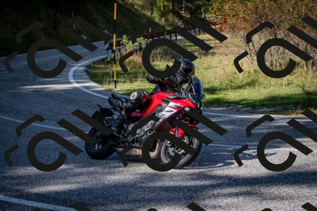 202509271255-DSC_6980_c2