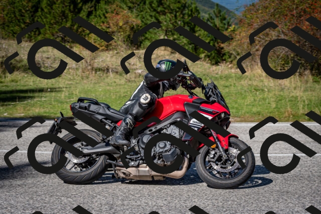 202509271255-DSC_6981_c2