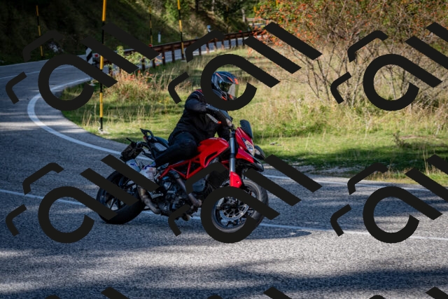 202509271255-DSC_6983_c2