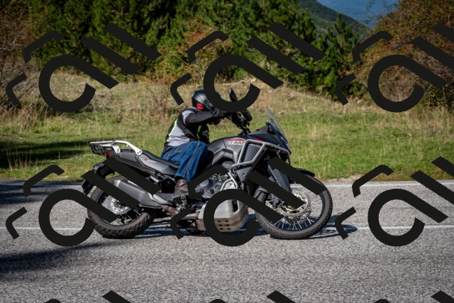 202509271255-DSC_6985_c2