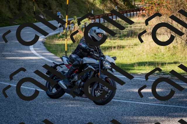 202509271304-DSC_7015_c2