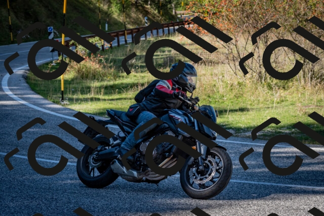 202509271304-DSC_7017_c2