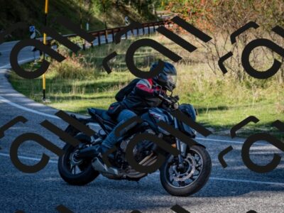 202509271304-DSC_7017_c2