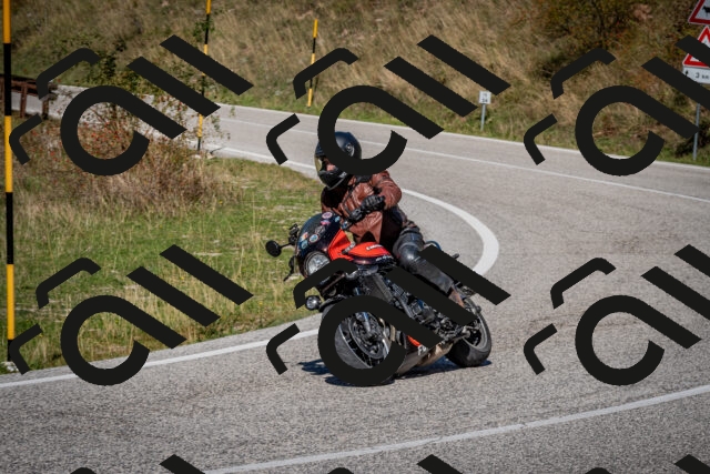 202509271307-DSC_7031_c2