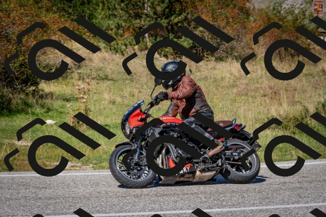 202509271307-DSC_7032_c2